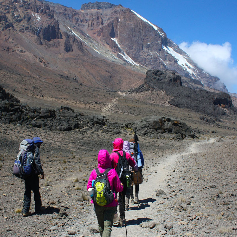 Kilimanjaro lemosho route